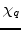 $\chi_{{q}}$