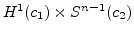 $H^1(c_1)\times
S^{n-1}(c_2)$