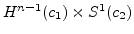 $H^{n-1}(c_1)\times S^1(c_2)$
