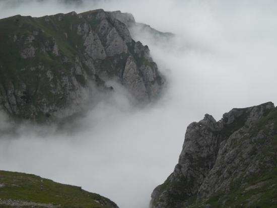 bucegii
